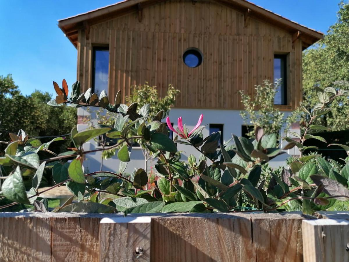 Les Callunes Chambres D'Hotes Et Location Meublee A 800 M De La Plage ! Lanton Bagian luar foto