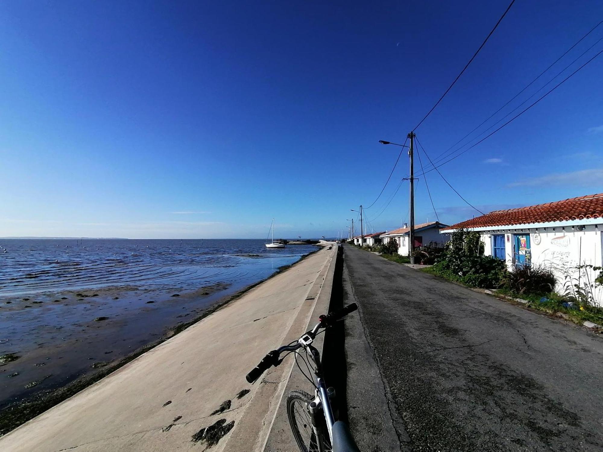 Les Callunes Chambres D'Hotes Et Location Meublee A 800 M De La Plage ! Lanton Bagian luar foto