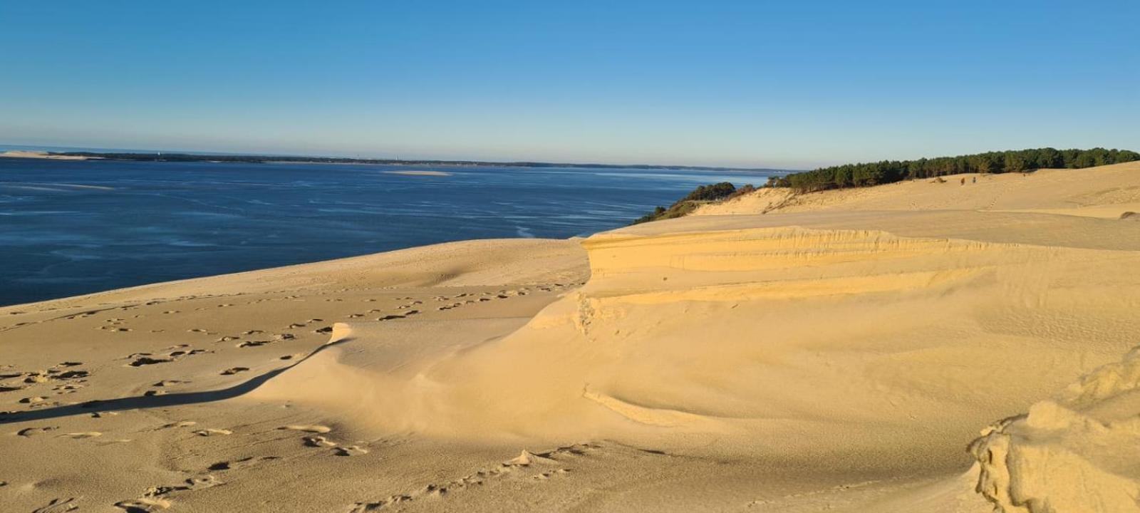 Les Callunes Chambres D'Hotes Et Location Meublee A 800 M De La Plage ! Lanton Bagian luar foto